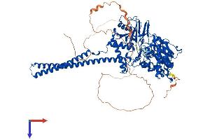 AlphaFold protein structure predicition of Mouse Recombinant Kdm1a Protein, UniprotID Q6ZQ88