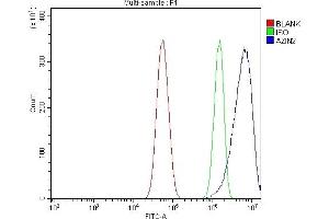 Flow Cytometry analysis of U87 cells using anti-Arginine Decarboxylase/AZIN2 antibody (ABIN7599403). (ADC anticorps  (AA 1-448))