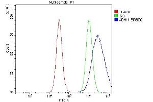 Flow Cytometry analysis of PC-3 cells using anti-OB Cadherin/CDH11 antibody (ABIN5518978). (OB Cadherin anticorps  (AA 55-293))