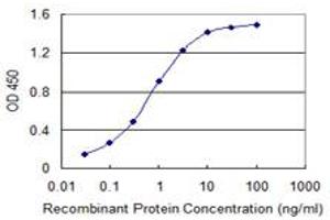 Detection limit for recombinant GST tagged RNF25 is 0.