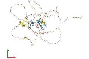 AlphaFold protein structure predicition of Mouse Recombinant Sp7 Protein, UniprotID Q8VI67