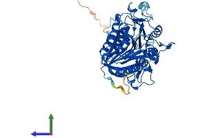 AlphaFold protein structure predicition of Human Recombinant PLD3 Protein, UniprotID Q8IV08