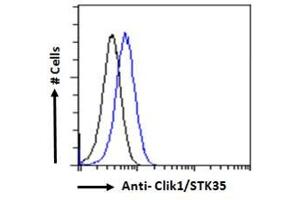 ABIN185178 Flow cytometric analysis of paraformaldehyde fixed HEK293 cells (blue line), permeabilized with 0.