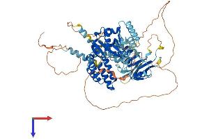 AlphaFold protein structure predicition of Human Recombinant ZSWIM3 Protein, UniprotID Q96MP5