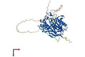 AlphaFold protein structure predicition of Mouse Recombinant Noct Protein, UniprotID O35710