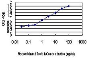 Detection limit for recombinant GST tagged HIPK2 is approximately 0. (HIPK2 anticorps  (AA 961-1065))
