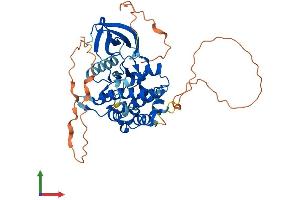 AlphaFold protein structure predicition of Mouse Recombinant Stradb Protein, UniprotID Q8K4T3