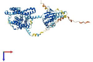 AlphaFold protein structure predicition of Human Recombinant SLC26A5 Protein, UniprotID P58743