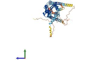 AlphaFold protein structure predicition of Human Recombinant CCKBR Protein, UniprotID P32239
