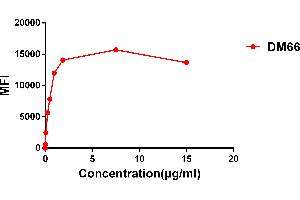 Flow cytometry data of serially titrated Rabbit anti-4-1BB monoclonal antibody (clone: DM66) on Expi 293 cell line transfected with human 4-1BB.