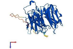 AlphaFold protein structure predicition of Human Recombinant RAE1 Protein, UniprotID P78406