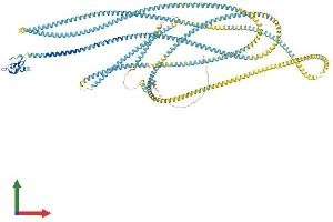 AlphaFold protein structure predicition of Human Recombinant EEA1 Protein, UniprotID Q15075