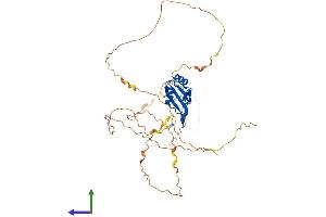 AlphaFold protein structure predicition of Mouse Recombinant Rbfox1 Protein, UniprotID Q9JJ43