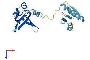 AlphaFold protein structure predicition of Human Recombinant GEMIN6 Protein, UniprotID Q8WXD5