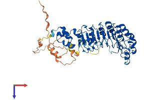 AlphaFold protein structure predicition of Mouse Recombinant Skp2 Protein, UniprotID Q9Z0Z3