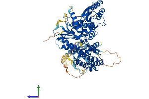 AlphaFold protein structure predicition of Mouse Recombinant Scfd1 Protein, UniprotID Q8BRF7