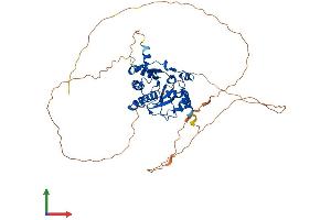 AlphaFold protein structure predicition of Mouse Recombinant Macrod2 Protein, UniprotID Q3UYG8