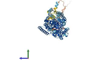 AlphaFold protein structure predicition of Mouse Recombinant Slc5a11 Protein, UniprotID Q8K0E3