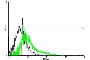 FACS analysis of negative control 293 cells (Black) and TPTE expressing 293 cells (Green) using TPTE purified MaxPab mouse polyclonal antibody. (TPTE anticorps  (AA 1-533))