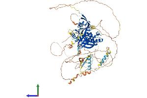 AlphaFold protein structure predicition of Human Recombinant EPB41L1 Protein, UniprotID Q9H4G0