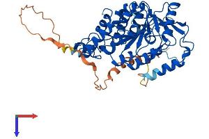 AlphaFold protein structure predicition of Mouse Recombinant Mgat2 Protein, UniprotID Q921V5