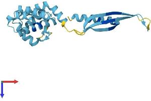AlphaFold protein structure predicition of Mouse Recombinant Commd4 Protein, UniprotID Q9CQ02
