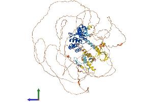 AlphaFold protein structure predicition of Human Recombinant OTUD4 Protein, UniprotID Q01804