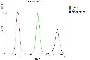 Flow Cytometry analysis of THP-1 cells using anti-PTBP2 antibody (ABIN7599452). (PTBP2 anticorps  (AA 1-504))