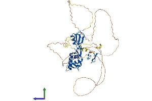 AlphaFold protein structure predicition of Mouse Recombinant Mdm2 Protein, UniprotID P23804