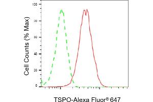 Flow cytometric analysis of TSPO expression in HT- cells using TSPO antibody (ABIN7799775), 1:2,000).