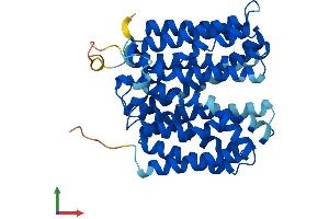 AlphaFold protein structure predicition of Mouse Recombinant Slc22a18 Protein, UniprotID Q78KK3
