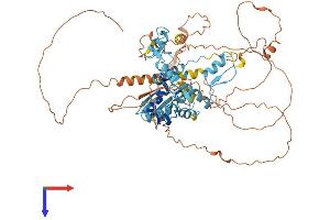 AlphaFold protein structure predicition of Human Recombinant ZBTB7C Protein, UniprotID A1YPR0