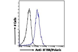 ABIN185555 Flow cytometric analysis of paraformaldehyde fixed HepG2 cells (blue line), permeabilized with 0.