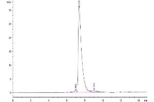 The purity of Biotinylated Human CD229 is greater than 95 % as determined by SEC-HPLC.