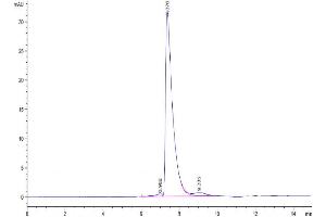 The purity of Biotinylated Human CD229 is greater than 95 % as determined by SEC-HPLC. (LY9 Protein (AA 48-454) (His-Avi Tag,Biotin))