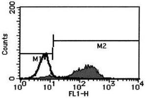 Flow Cytometry (FACS) image for anti-Fas Ligand (TNF Superfamily, Member 6) (FASL) antibody (FITC) (ABIN1105948) (FASL anticorps  (FITC))
