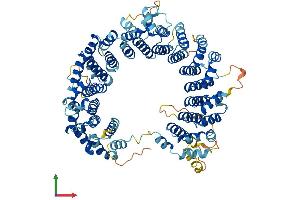AlphaFold protein structure predicition of Human Recombinant BRAT1 Protein, UniprotID Q6PJG6