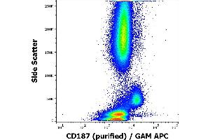 Flow cytometry surface staining pattern of human peripheral whole blood stained using anti-human CD187 (10D1-J16) purified antibody (concentration in sample 1,7 μg/mL, GAM APC). (CXCR7 anticorps)