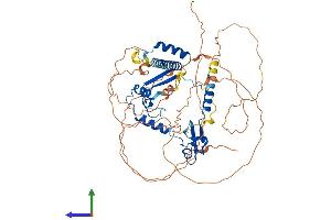 AlphaFold protein structure predicition of Mouse Recombinant Csrnp1 Protein, UniprotID P59054