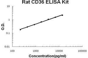 Rat CD36/SR-B3 PicoKine ELISA Kit standard curve (CD36 Kit ELISA)