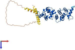 AlphaFold protein structure predicition of Mouse Recombinant Dcun1d4 Protein, UniprotID Q8CCA0