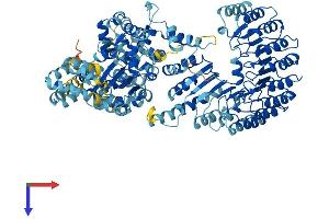 AlphaFold protein structure predicition of Mouse Recombinant Nlrp9c Protein, UniprotID Q66X01