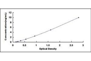 Typical standard curve (SIRT4 Kit ELISA)