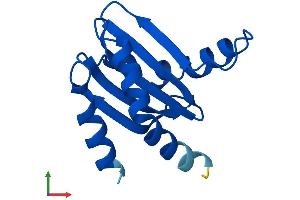 AlphaFold protein structure predicition of Human Recombinant LAMTOR3 Protein, UniprotID Q9UHA4