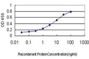 Detection limit for recombinant GST tagged TUBG2 is approximately 0.