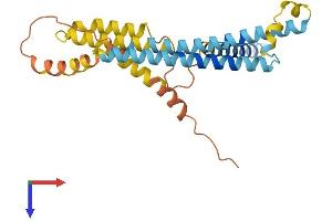 AlphaFold protein structure predicition of Mouse Recombinant Bri3bp Protein, UniprotID Q8BXV2