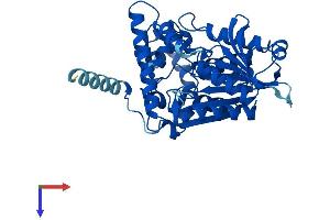 AlphaFold protein structure predicition of Human Recombinant NCEH1 Protein, UniprotID Q6PIU2