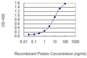 Detection limit for recombinant GST tagged FAM65B is 0. (FAM65B anticorps  (AA 1-591))