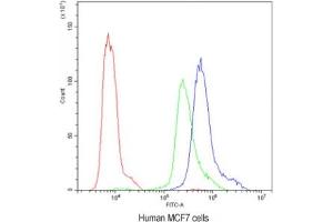 Flow cytometry testing of human MCF7 cells with PKC eta antibody at 1ug/10^6 cells (blocked with goat sera) (PKC eta anticorps  (AA 30-389))