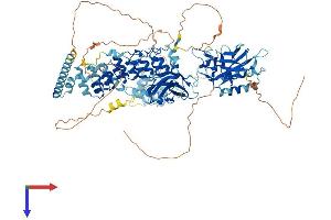 AlphaFold protein structure predicition of Mouse Recombinant Nfkb2 Protein, UniprotID Q9WTK5